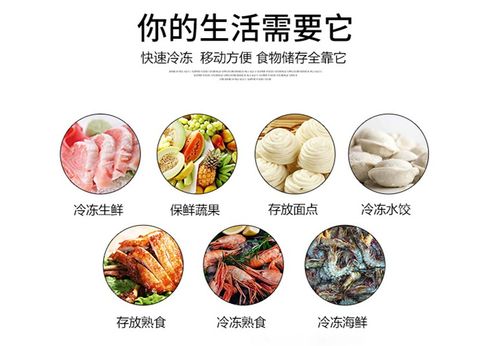 果蔬肉类单冻机 小型冷库配套设备的关键装备